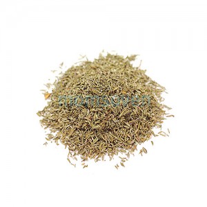 Çãºê°¡·ç Thyme (ŸÀÓ) 10g