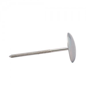 ²É¹Þħ 2¹ø(30mm) <br>µ¼Çü